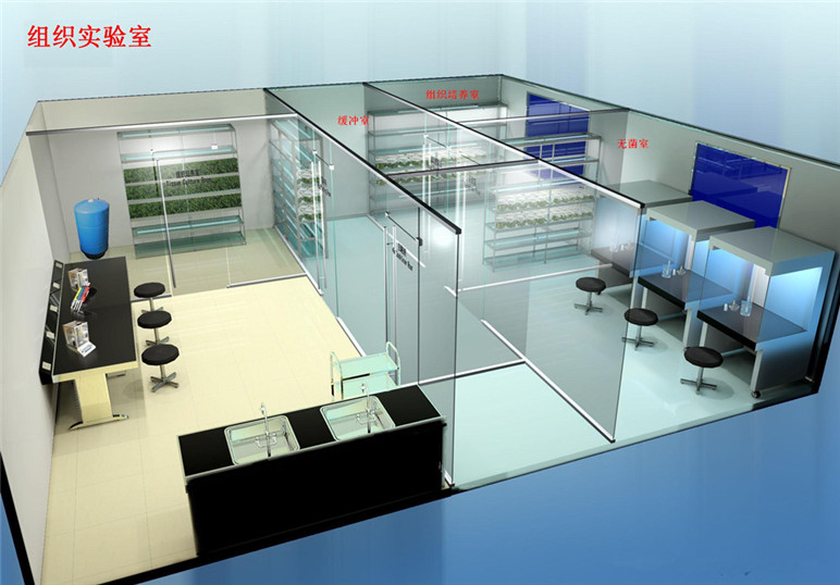 1612159748550290.jpg c83eb5920624760f19a4189590d4b782.jpg